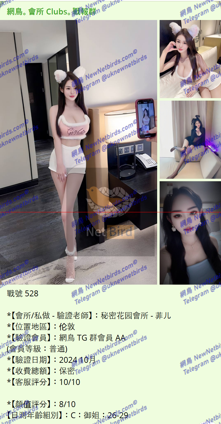 戰號 528 1.png